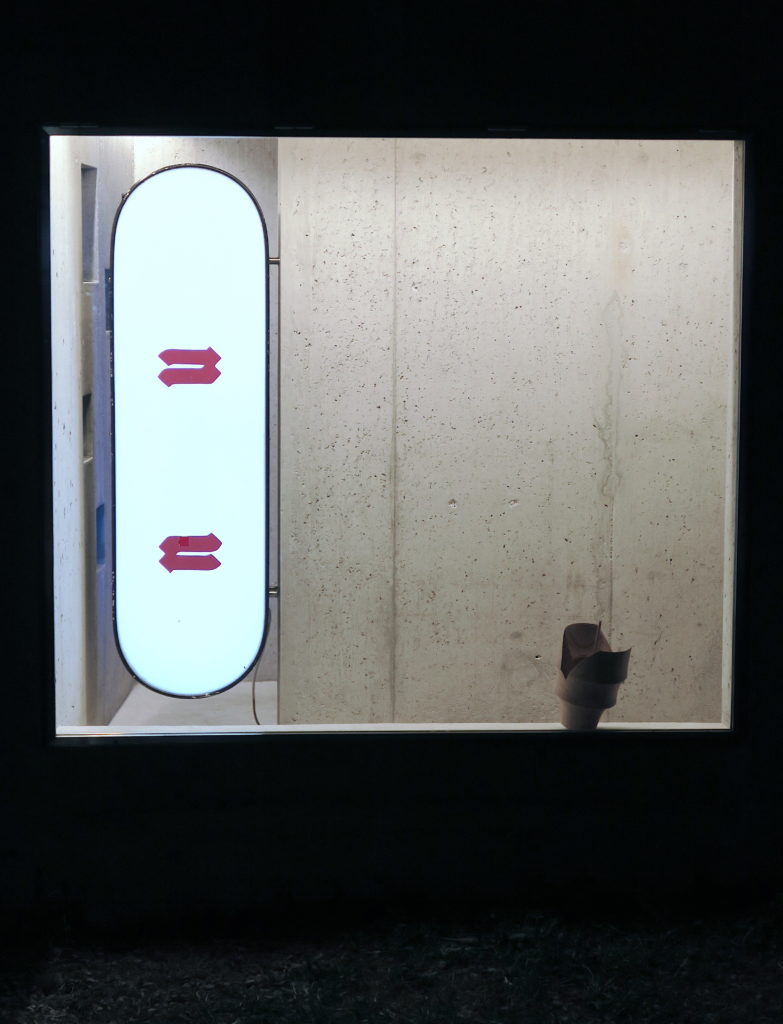 Gina Proenza, Nu, enseigne lumineuse, Gina Proenza, Lemme Art Contemporain, Pierre Vadi