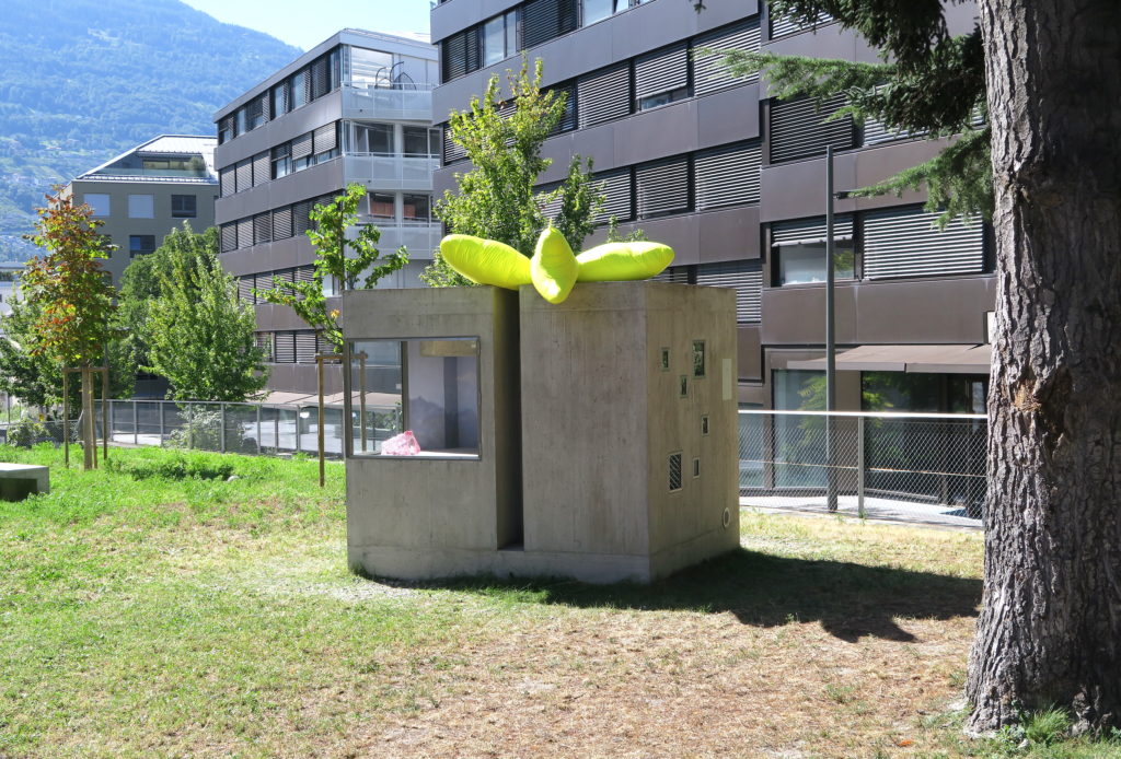 Phantom, Denis Savary, Exposition Lemme Art Contemporain, artist's run space, sculpture by Pierre Vadi, Sion
