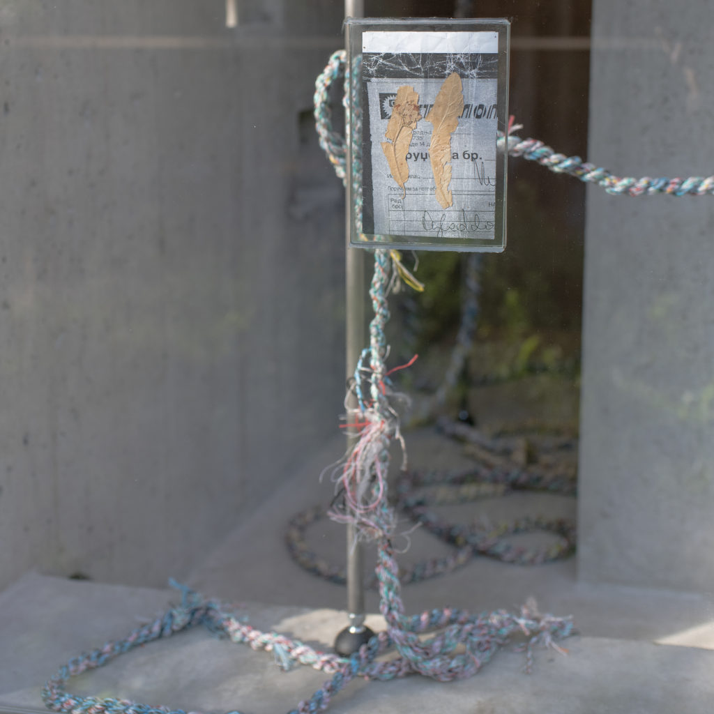 Martin Jakob "Just trying to reconnect"